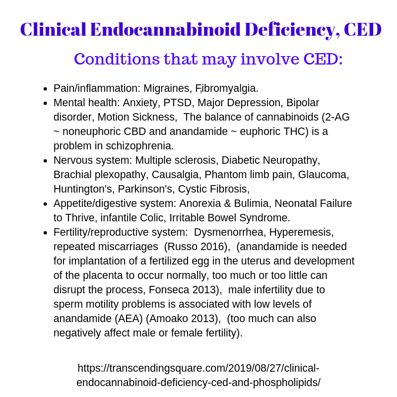 https://transcendingsquare.com/wp-content/uploads/2019/09/CED-endocannabinoid-1.png